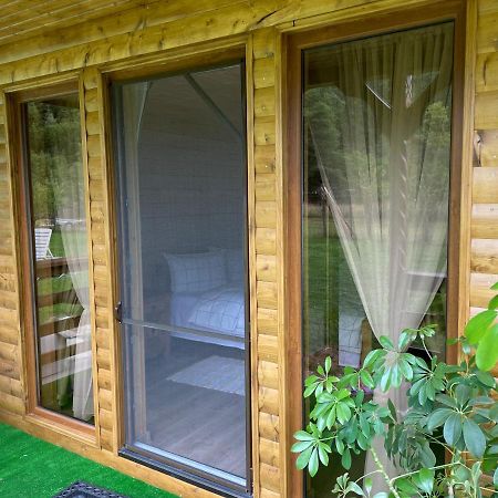 Pensiunea Felyviss Albac Exterior foto