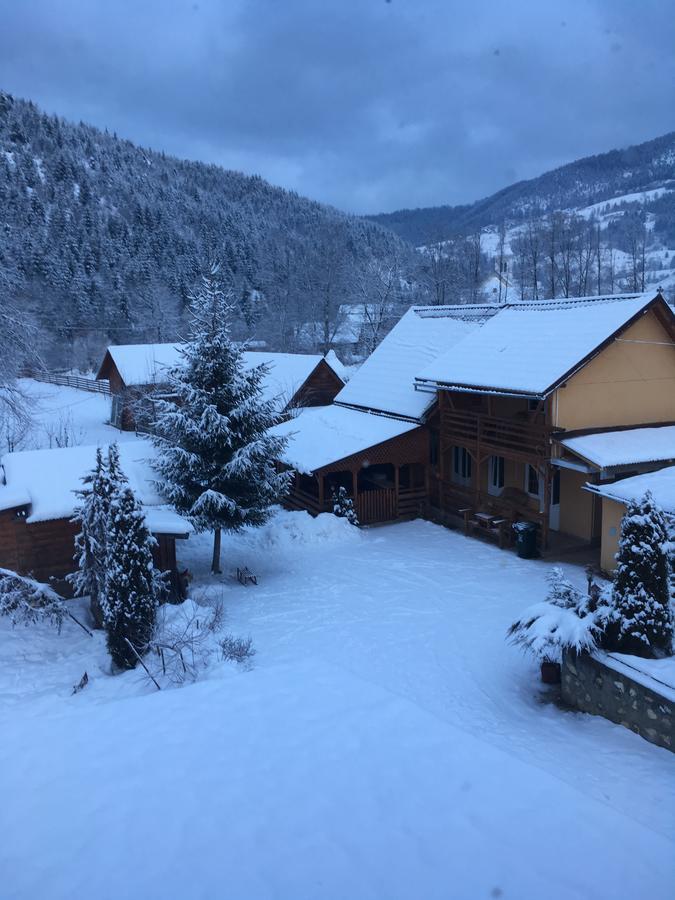 Pensiunea Felyviss Albac Exterior foto